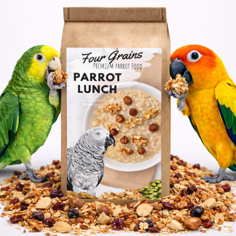 Petit-déjeuner aux quatre grains pour perroquets | Aliment équilibré et savoureux 100g  de ParrotPlanet.fr