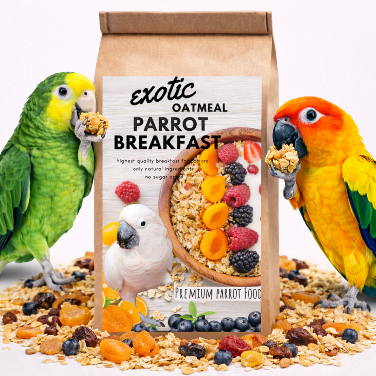 HOT EXOTIC OAT Parrot Breakfast - Papuzia Owsianka - danie śniadaniowe, lub obiadowe na ciepło dla wszystkich papug 100g od ParrotPlanet.pl
