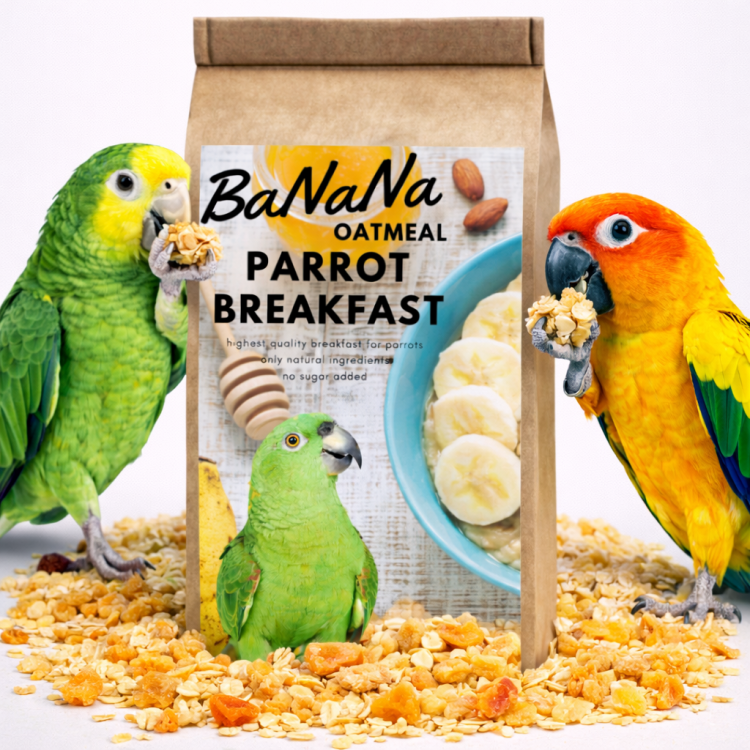 HOT BaNaNa OAT Parrot Breakfast - Papuzia Owsianka - danie śniadaniowe, lub obiadowe na ciepło dla wszystkich papug 50g od ParrotPalnet.pl