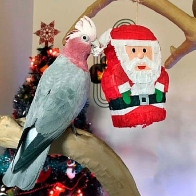 KOLEKCJA ŚWIĄTECZNA | Święty Mikołaj Duży- Zabawka Piniata dla Papug od ParrotPlanet.pl