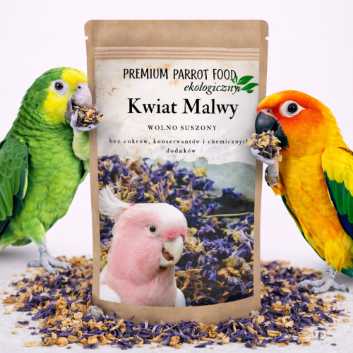 Ekologiczny, Chrupiący Kwiat Malwy| Przekąska | Pokarm uzupełniający dla wszystkich papug 25g  od ParrotPlanet.pl