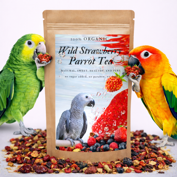 Wild Strawberry Parrot Tea - Organiczny napar, herbatka dla papug poziomkowa 100g  od ParrotPlanet.pl