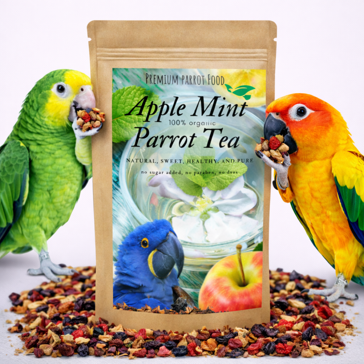 Apple Mint Parrot Tea - Organiczny napar, herbatka dla papug jabłkowo miętowa 100g od ParrotPlanet.pl