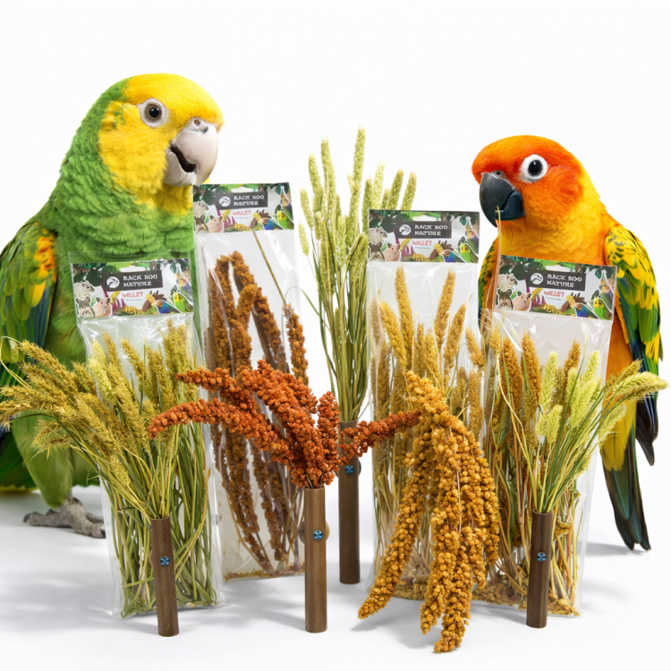Back Zoo Nature – Bouquet de millet rouge naturel pour perroquets 150 g ParrotPlanet.fr