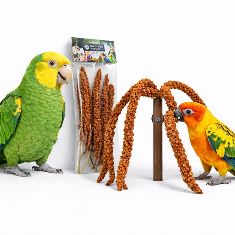 Back Zoo Nature – Bouquet de millet rouge naturel pour perroquets 150 g ParrotPlanet.fr
