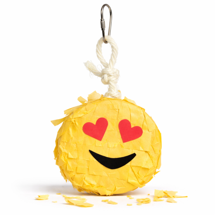 Dr. Smile ! | Jouet Ultra Joyeux | Émoji Piñata | pour tous les perroquets de ParrotPlanet.fr