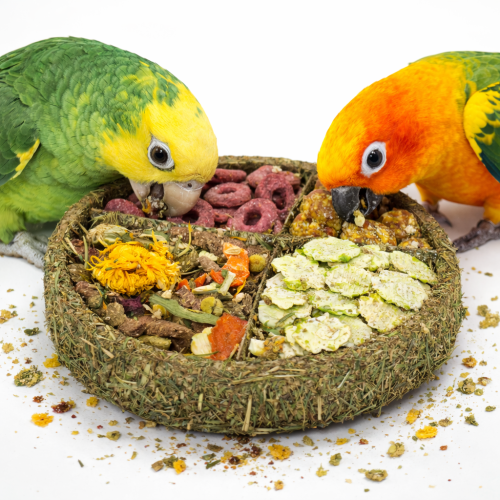 JR FARM Assiette Gourmande à Picorer avec Légumes, Herbes et Petits Pois pour Perroquets 100 g de ParrotPlanet.fr