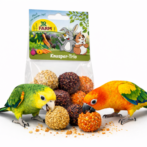 JR FARM Trio Croquant à Décortiquer avec Luzerne, Carotte et Betterave pour Perroquets 75 g de ParrotPlanet.fr