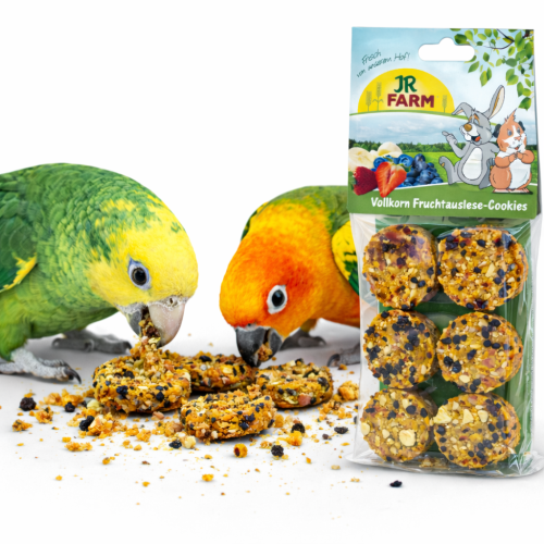 JR FARM Biscuits Complets aux Fruits avec Carotte, Graines de Lin et Fruits pour Perroquets 120 g de ParrotPlanet.fr