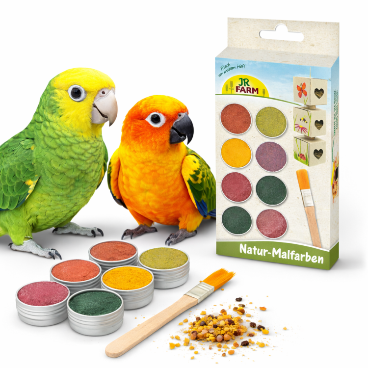 JR FARM Couleurs Végétales Naturelles pour Peindre les Jouets pour Perroquets | 6 × 8 g de ParrotPlanet.fr