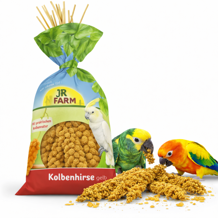 JR FARM Spray Millet Yellow- proso żółte w kłosach 250g  od ParrotPlanet.pl