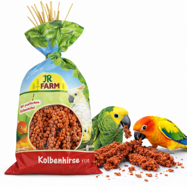 JR FARM Spray Millet red- proso czerwone w kłosach 250g od ParrotPlanet.pl