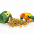 JR FARM Len w kłosach do chrupania dla wszystkich papug 30g od ParrotPlanet.pl