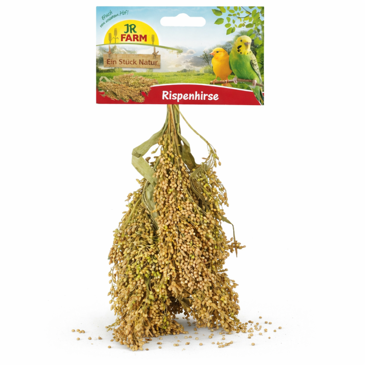 JR FARM Proso rozpierzchłe w kłosach do chrupania dla wszystkich papug 100g od ParrotPlanet.pl