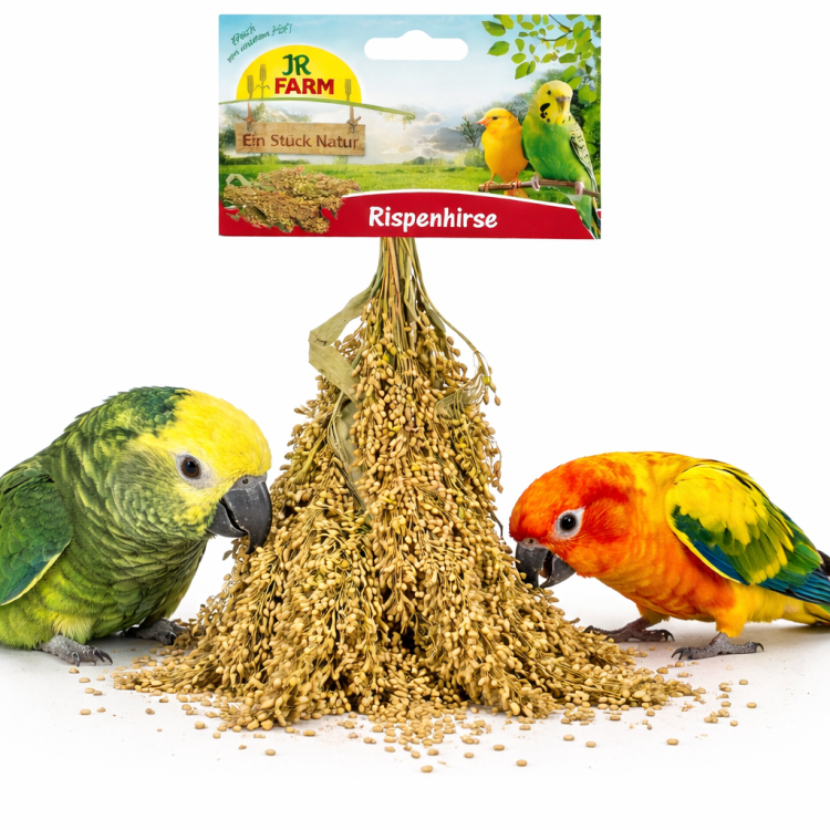 JR FARM Proso rozpierzchłe w kłosach do chrupania dla wszystkich papug 100g od ParrotPlanet.pl