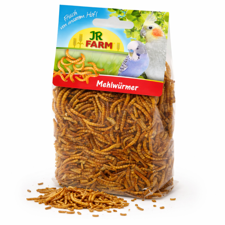 JR FARM Vers de farine – protéine naturelle pour tous les reptiles 25 g | ParrotPlanet.fr