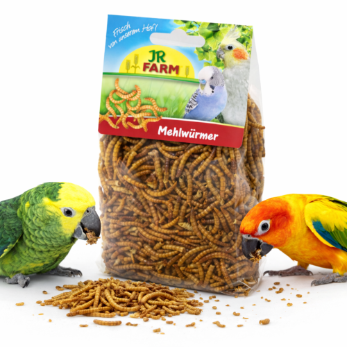 JR FARM Mączniki- naturalne białko dla wszystkich papug 25g od ParrotPlanet.pl