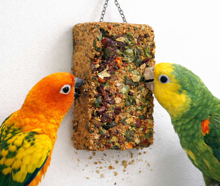 JR FARM kostka mineralna z nasionami i warzywami dla wszystkich papug 75g od ParrotPlanet.pl