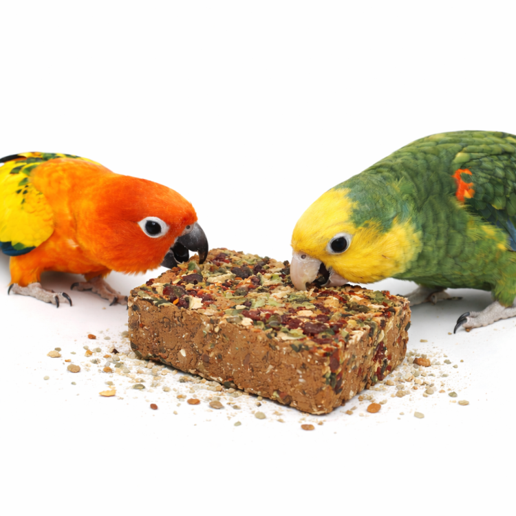 JR FARM kostka mineralna z nasionami i warzywami dla wszystkich papug 75g od ParrotPlanet.pl