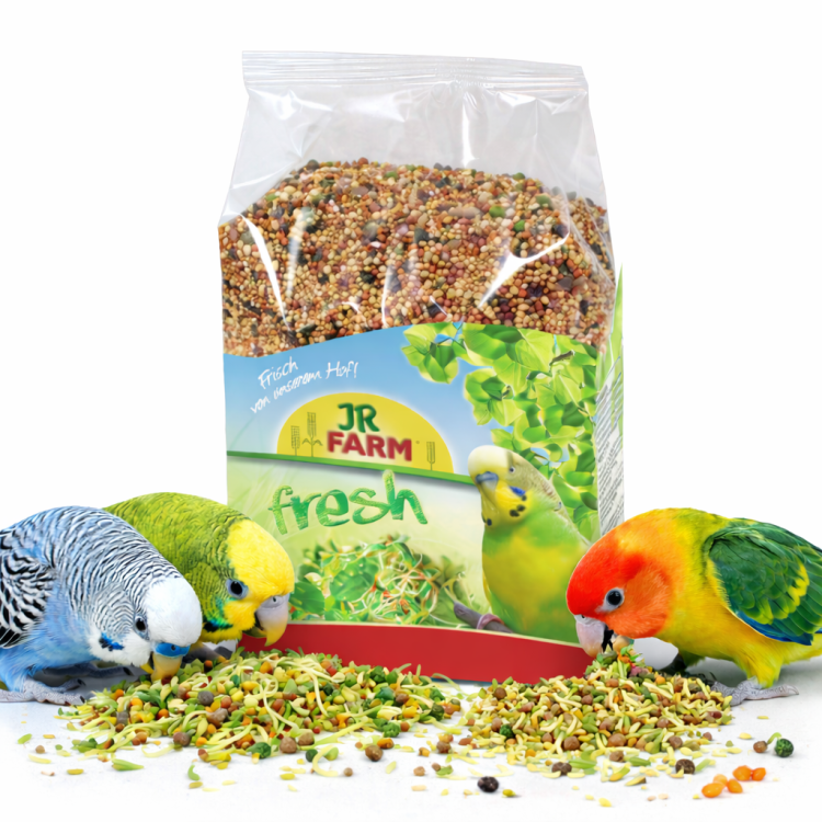 JR FARM - Kiełki dla papużek falistych i innych małych papug 1kg od ParrotPlanet.pl