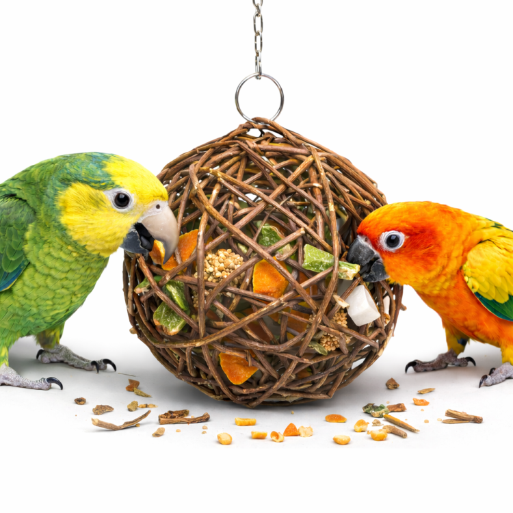 JR FARM Wierzbowa kulka nadziewana owocami - pyszna przekąska dla wszystkich papug 135g ParrotPlanet.pl