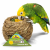 JR FARM Gniazdo z mniszkiem lekarskim - dla wszystkich papug 130g  od ParrotPlanet.pl