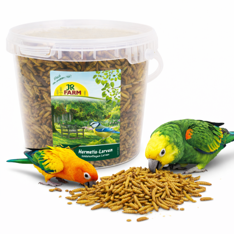 JR FARM Larwy Mącznika | Naturalne Białko dla wszystkich papug | Mącznik WIADERKO 400g od ParrotPlanet.pl