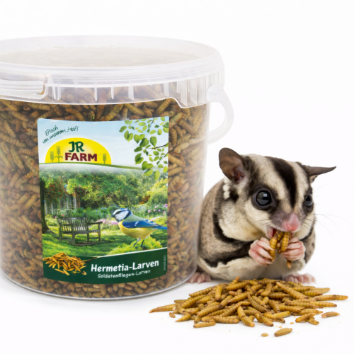 JR FARM Larwy Mącznika | Naturalne Białko dla Lotopałanek | Mącznik WIADERKO 400g od ParrotPlanet.pl