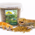 JR FARM Vers de farine séchés pour reptiles – friandise naturelle, 100 % insectes | ParrotPlanet.fr