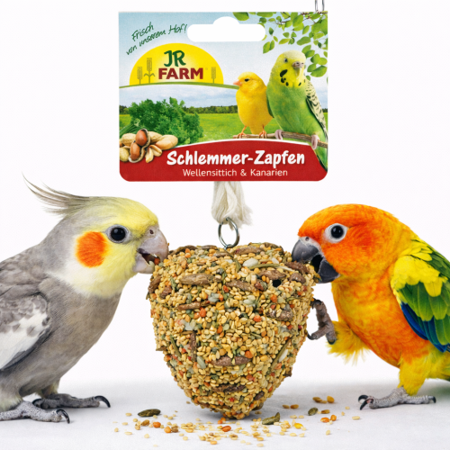 JR FARM Smakowita Szyszka dla smakoszy - pyszna przekąska dla wszystkich nimf i innych mniejszych papug 120 g od ParrotPlanet.pl