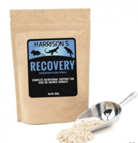 Harrison`s Recovery Formula 350g - KARMA RATUNKOWA - kompletna formuła dla chorych i rannych ptaków od ParrotPlanet.pl