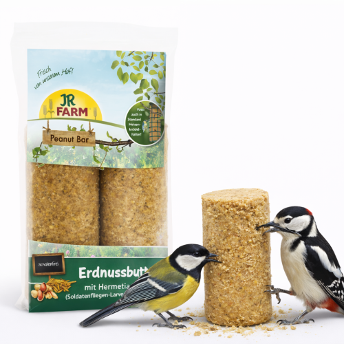 Barre de cacahuète JR FARM - aliment riche en protéines pour oiseaux sauvages de ParrotPlanet.fr