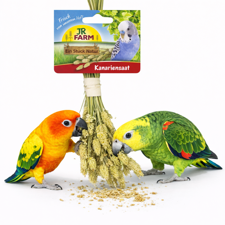 JR FARM Canary Seeds w kłosach do chrupania dla wszystkich papug 20g  od ParrotPlanet.pl