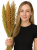 JR FARM Pick & Fly 130 g – bouquet naturel d’épis pour rongeurs | sorgho, millet, lin de ParrotPlanet.fr