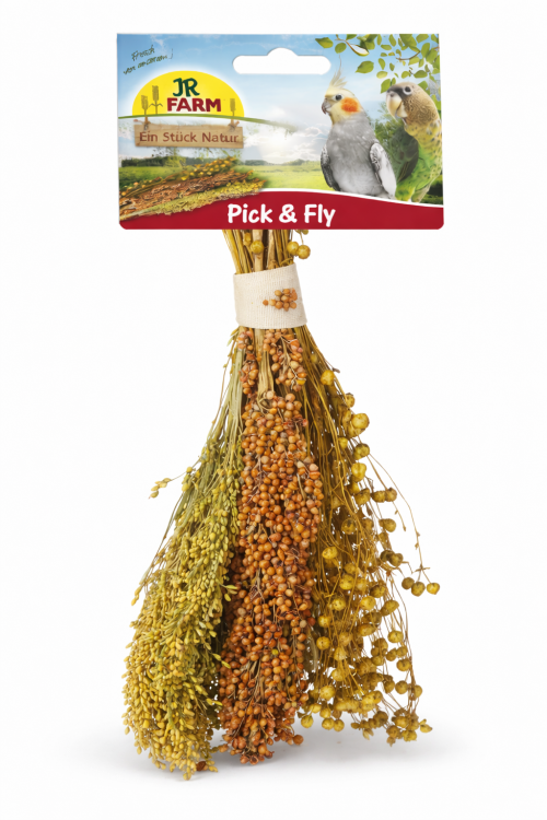 JR FARM Pick & Fly 130 g – bouquet naturel d’épis pour rongeurs | sorgho, millet, lin de ParrotPlanet.fr