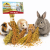 JR FARM Pick & Fly 130 g – bouquet naturel d’épis pour rongeurs | sorgho, millet, lin de ParrotPlanet.fr