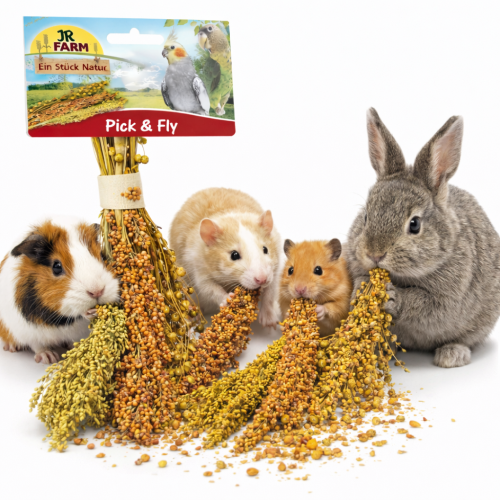 JR FARM Pick & Fly 130 g – bouquet naturel d’épis pour rongeurs | sorgho, millet, lin de ParrotPlanet.fr