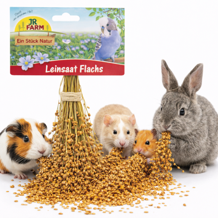 JR FARM Lin en épis 30 g friandise naturelle à fouiller pour rongeurs de ParrotPlanet.fr
