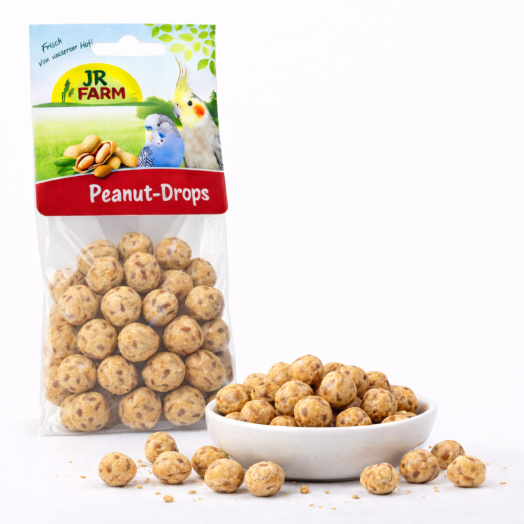 JR FARM Bouchées croustillantes aux noix 100 g | Friandise pour rongeurs et récompense d’entraînement ParrotPlanet.fr
