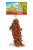 JR FARM Sorgho en épis 30 g | Friandise naturelle pour rongeurs à fouiller ParrotPlanet.fr