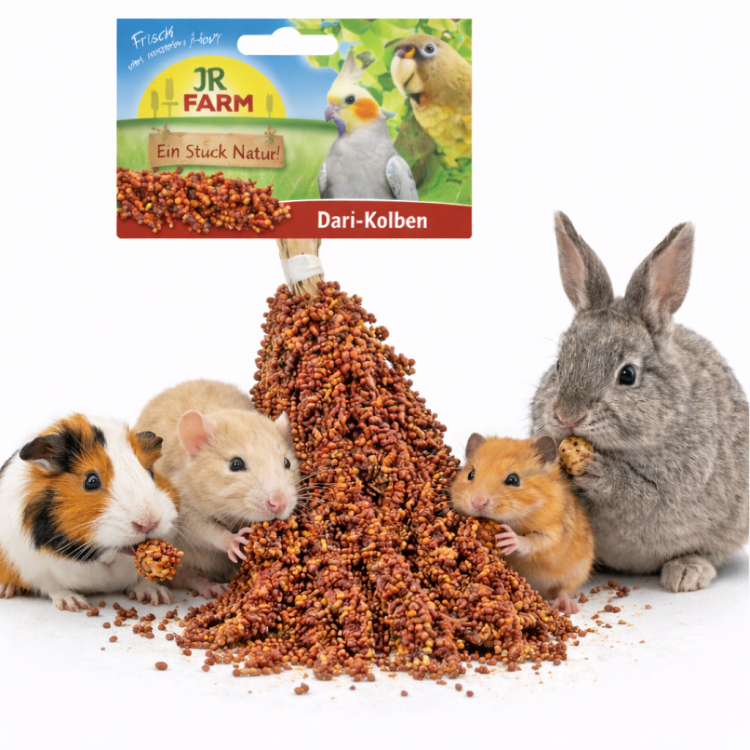 JR FARM Sorgho en épis 30 g | Friandise naturelle pour rongeurs à fouiller ParrotPlanet.fr