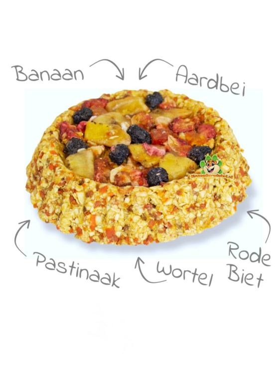 JR FARM Biscuit croustillant 80 g | Friandise aux légumes et aux fruits pour rongeurs ParrotPlanet.fr