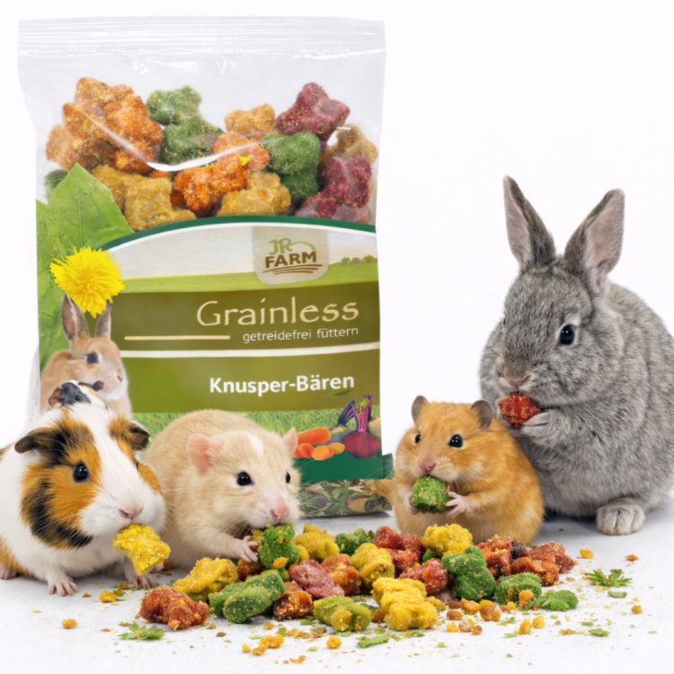 JR FARM Oursons croustillants 30 g | Friandise végétale pour rongeurs et lapins ParrotPlanet.fr