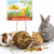 JR FARM Balle en osier garnie de millet 25 g | Jouet naturel et friandise pour rongeurs ParrotPlanet.fr
