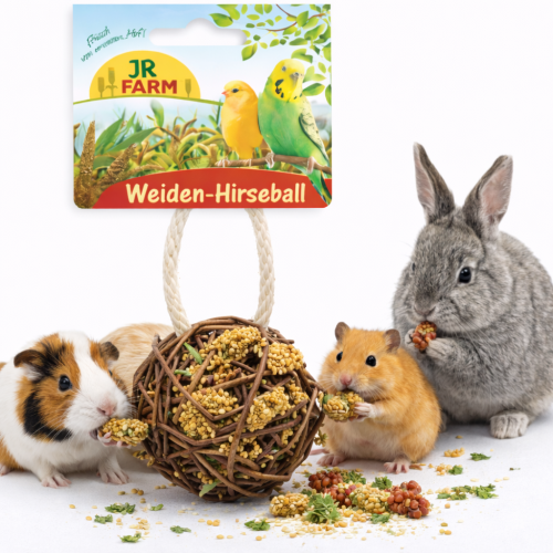 JR FARM Balle en osier garnie de millet 25 g | Jouet naturel et friandise pour rongeurs ParrotPlanet.fr
