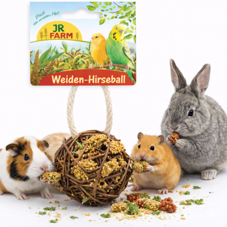 JR FARM Balle en osier garnie de millet 25 g | Jouet naturel et friandise pour rongeurs ParrotPlanet.fr
