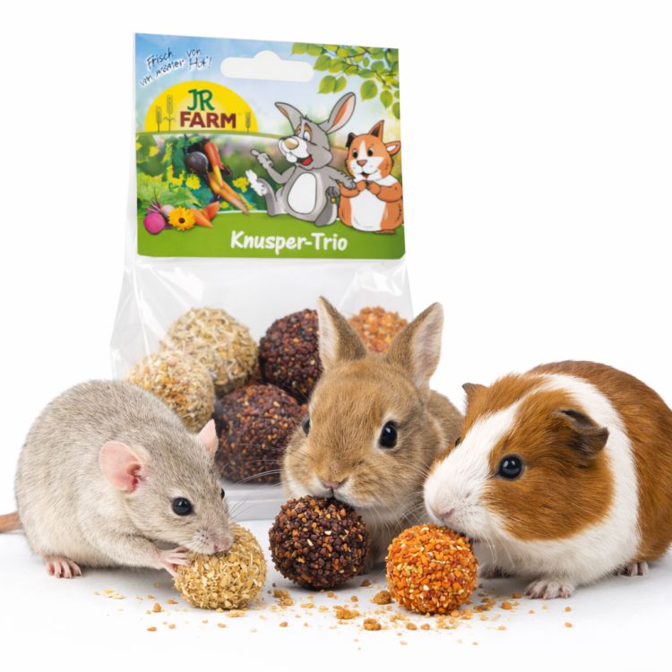 JR FARM Crunchy Trio 75 g | 6 boules gourmandes pour lapins et rongeurs par ParrotPlanet.fr