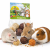 JR FARM Crunchy Trio 75 g | 6 boules gourmandes pour lapins et rongeurs par ParrotPlanet.fr