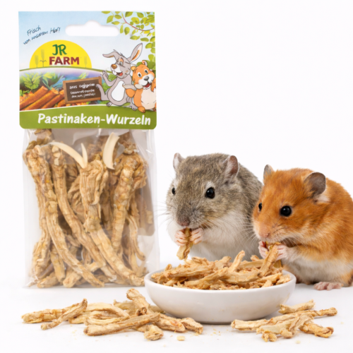JR FARM Racines de panais | Friandise naturelle pour lapins et rongeurs ParrotPlanet.fr
