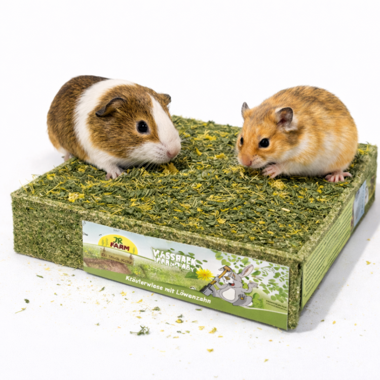 JR FARM Prairie de Foraging au Pissenlit | Mélange naturel d’herbes pour lapins et rongeurs par ParrotPlanet.fr